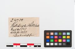 Etiketten zu Bronzeknopf (NHMW-PRAE-024750)